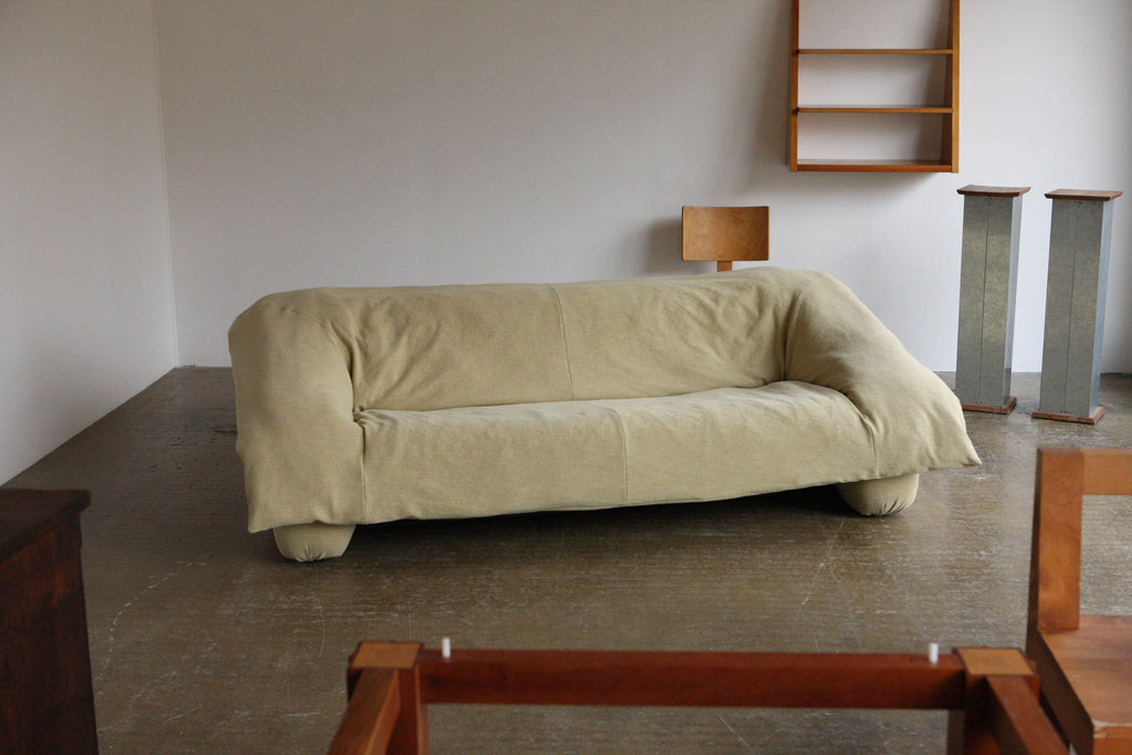 Ligne Roset Flou Flou Sofa